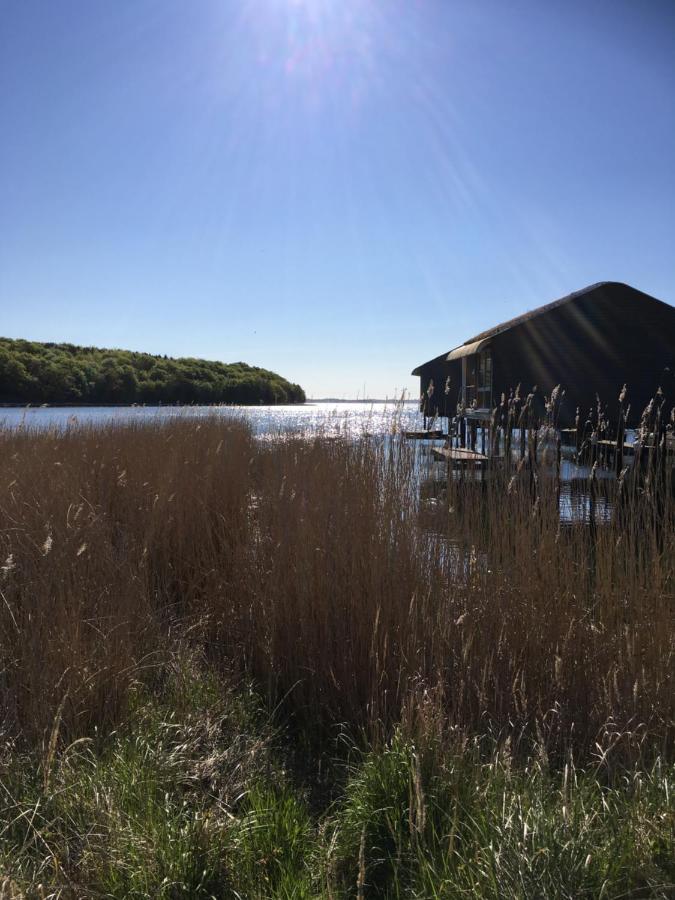 FeWo Karnitz/Rügen Exterior foto